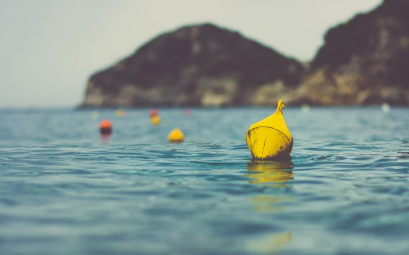 Hazard buoys floating close to shore on a lake.
