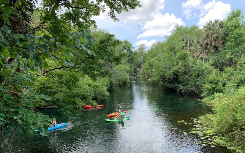 Group of kayakers paddling down a river lined with trees.