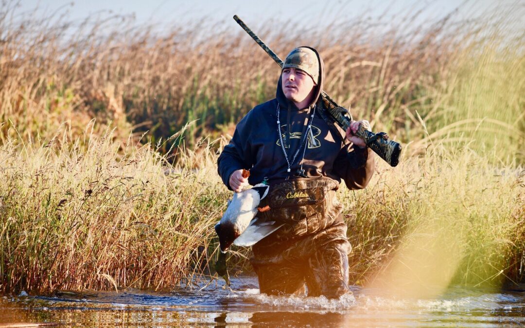 Top 20 Ducks You Can Hunt in the US